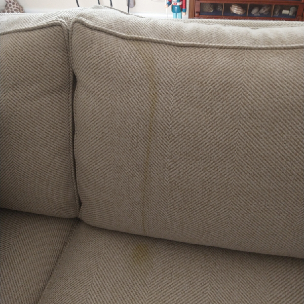 Upholstery Stain Removal Before